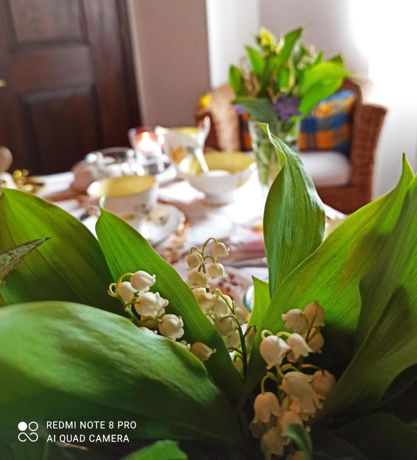 Piavata B&B Va...Lentina מראה חיצוני תמונה
