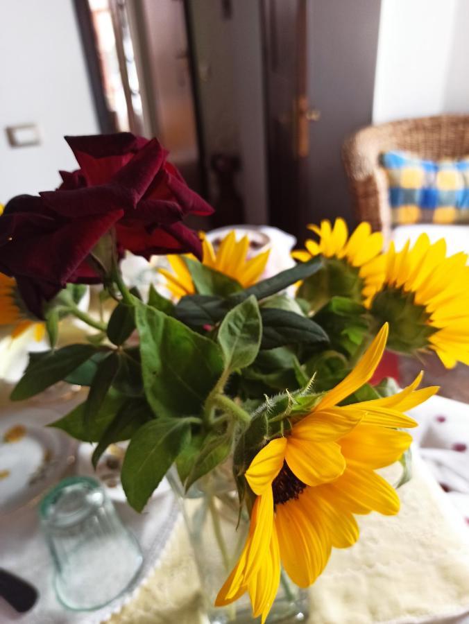 Piavata B&B Va...Lentina מראה חיצוני תמונה